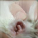 중앙동물병원약품 이미지