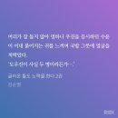 ㅁㅊ 리수윤 이자식 너무 요망하다 궇돌노ㅂㅊ 이미지