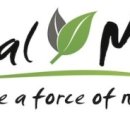 스트롱무브 이미지