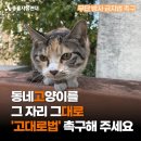 [연대] 무단방사 금지법 '고대로법' 촉구 서명 받습니다. 이미지