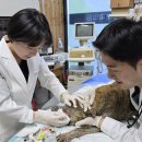 청송동물병원 이미지