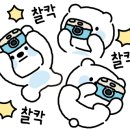 웰컴워시 이미지