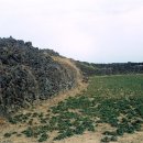 애월환해장성 이미지