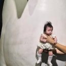 대나무로 만드는 일상의 물건 : 네모눈바구니 만들기 | 4개월 아기의 일상(2): 터미타임연장, 주먹보기, 서울엄마아빠택시 파파, 현대백화점 문화센터...