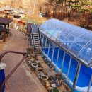 동해어때펜션 이미지