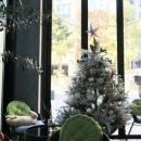 서초대로58길 5 이미지