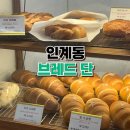 브레드단