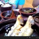 해왕식당