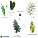 마블농장 이미지