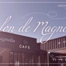 살롱드매그놀리아