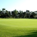 노송골프 이미지