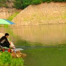괴곡리 Daum카페