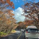 존자암지 이미지