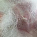 금나래동물병원 이미지