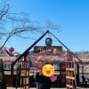 자연in | 가평 청평 애견동반 카페 in메콩카페 후기 자연속에서 쉬기 좋은 곳