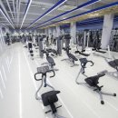 휘슬러휘트니스 이미지