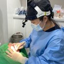 강남안면거상술추천 또래보다 훨씬 젊어지는 마법 더타이트성형외과의원