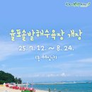 율포솔밭해수욕장 관광안내소 | 순천 근교 해수욕장, 보성 율포솔밭해수욕장 개장!