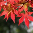 참사랑실버케어센터 이미지