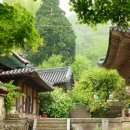 UR(순천시)-[승주로]-상-16 | 선암사 - 전북 순천 승주, 태고종 총림 -