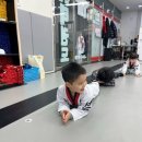선일태권도장 이미지