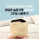 백목련 | 비염에 좋은 온담은 숲증기팩, 써보니 효과 있던데? (내돈내산 2주사용 후기)