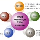 크린존 이미지