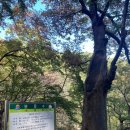 강원 삼척의 천은사 이야기 이미지
