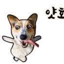 유성농원