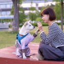 달빛축제공원(공연장사이) 이미지