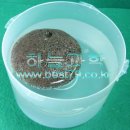 뜨는 돌 이미지