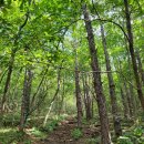 경주-고헌산