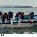 해양수산과학원 서부지부 자원조성연구소 | 전남도, 함평 해역 어린 대하 100만 마리 방류…수산자원 회복·어업인 소득 증대 기대