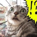 언니네미용실 이미지