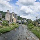 사북1교 Daum카페