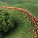 솔뫼목장 이미지