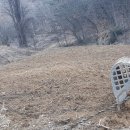 반곡1리 이미지