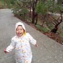 정원민박 이미지