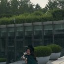 이화여대 우정 졸업 스냅 | 준비 과정 및 ‘마고픽 스튜디오’ 후기💚