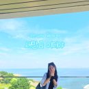 DI | 군산 김제 대형카페 이디야커피 새만금수국섬DI점 후기