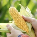 팝콘호텔 이미지