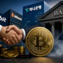금가 아이뉴스24
