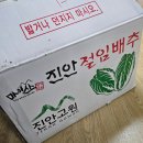김장한 | 엄마, 이모도 만족한 진안 절임배추 20kg 김장한 후기