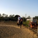 경주목장 이미지