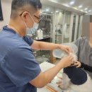 광주희망병원 | 광주남구동물병원 강아지 방광염 치료 빠르게 다녀온 후기