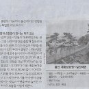 esc/ 레저/ 유행 넘어 ‘문화’ 된 러닝…먹방 유튜버도 달린다/ 이우성의 달리기(민중이 깨어나야 나라가 바로 선다) 이미지