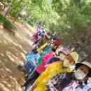 향기네무료급식소 이미지