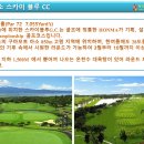 스카이블루 이미지