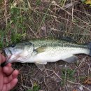 상중도뱃터 이미지