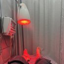 365상쾌한의원 이미지